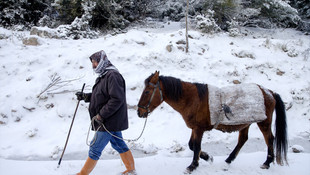 Kar yağınca keçi sürüsünü kaybetti