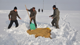 Karda yaban hayatına yem desteği