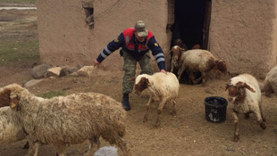 Kilis'te hayvan hırsızlığı iddiası