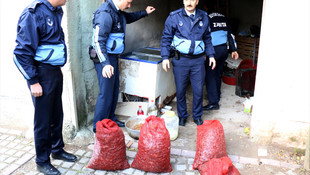 Kümeste saklanan midyelere el konuldu