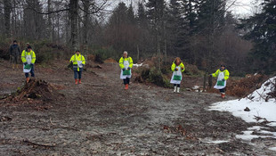 Sakarya'da 18 milyon kayın tohumu ekildi