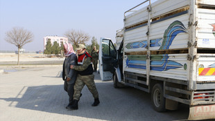 Şanlıurfa'da hayvan kaçakçılığı