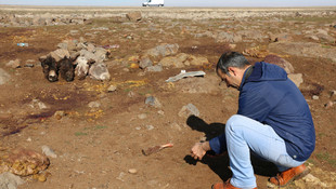 Şanlıurfa'da kesilmiş eşek başları ve derileri bulundu