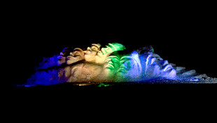 Sarıkamış Harekatı'nın 102. yılı