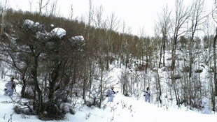 Şebinkarahisar kırsalında terör örgütlerine yönelik keşif operasyonu