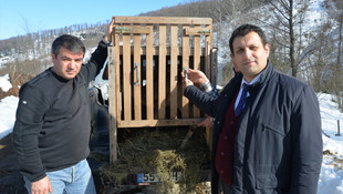 Tedavi edilen karacalar doğaya salındı