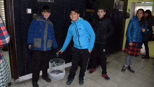 Terör saldırılarının yaşandığı okullarda TEOG başarısı