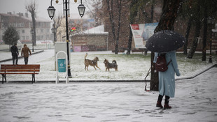 Trakya'da kış