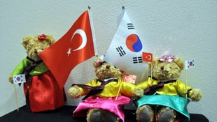 Türkiye-Güney Kore diplomatik ilişkilerinin 60. yılı