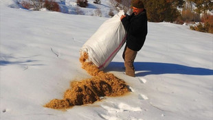 Yaban hayatına yem desteği