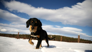 Yazın futbol kulüplerinin, kışın da doğaseverlerin gözdesi
