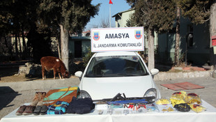 Amasya'da hayvan hırsızlığı operasyonu