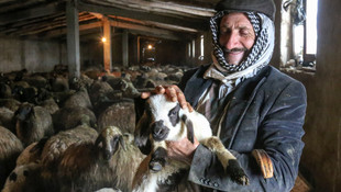 Baharın müjdecileri dünyaya gözlerini erken açtı