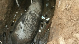 Çukura düşen boğayı itfaiye kurtardı