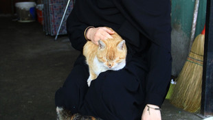 Engelli kedinin iyilik meleği oldu