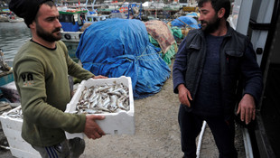 Karadeniz'de balık kalmadı