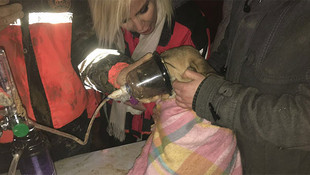 Beykozda kuyuya düşen köpek yavrusu kurtarıldı