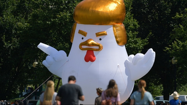 Bu da tavuk Trump!