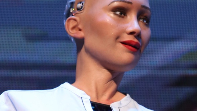 ROBOT SOPHIA, SERDARI REDDETTİ