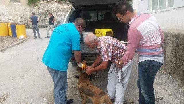 Köpeğe şiddete 625 lira para cezası ve hayvan sahiplenme yasağı