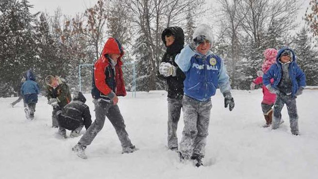 Vanın 6 ilçesinde okullar tatil