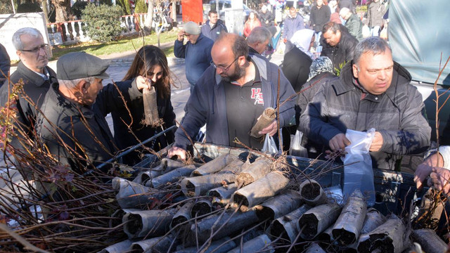 "Ağaç Kesme Fidan Dik" kampanyası