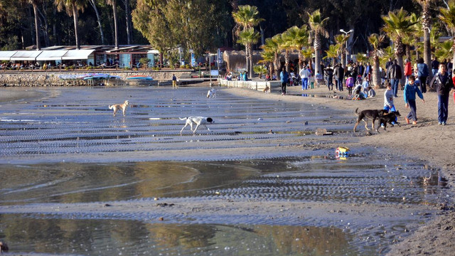 Akyaka Sahili'nde deniz suyu 20 metre çekildi