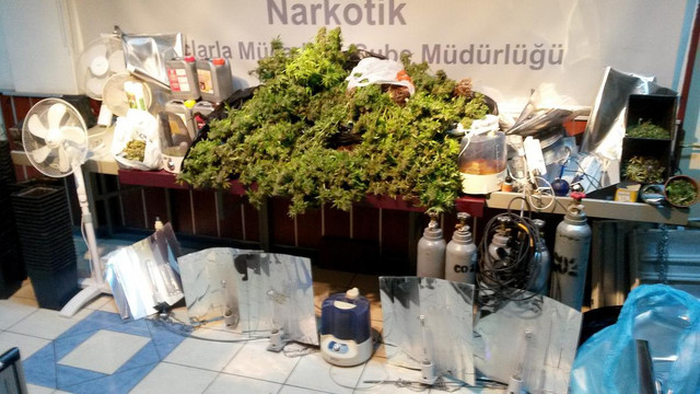 Başkentte "marihuana" operasyonu