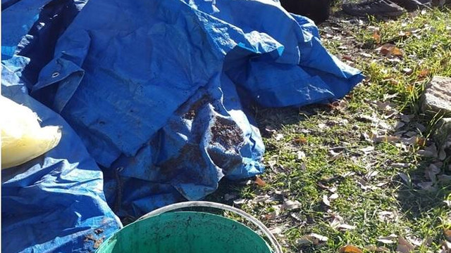 Bingöl'de terör operasyonu