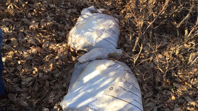 Bingöl'de terör operasyonu