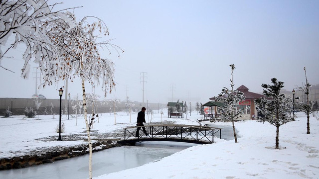 Bitlis'te sis ve dondurucu soğuk