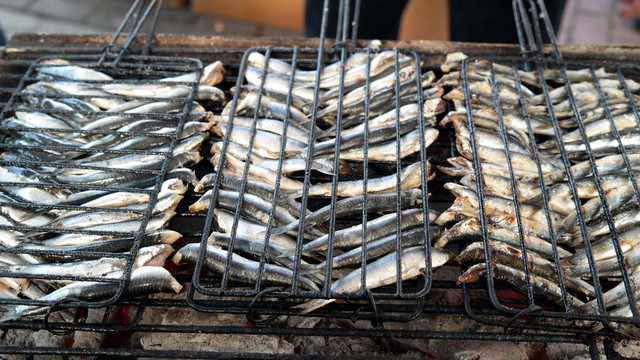 Bursa'da "Hamsi ve Horon Festivali"