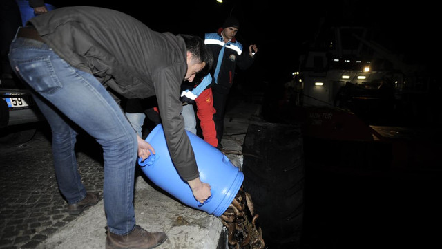 Çanakkale'de "deniz patlıcanı" operasyonu