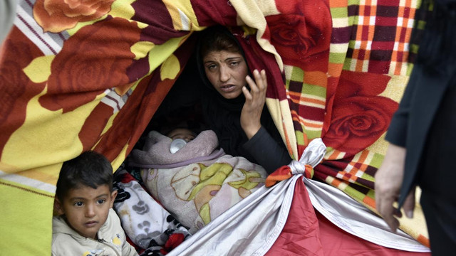 CHP heyeti, Bodrum sahilinde inceleme yaptı