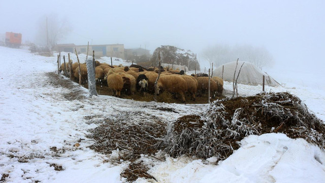Doğu Anadolu'da kış