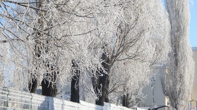 Doğu'da soğuk hava