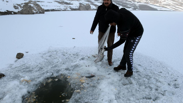 Donan gölde balık avı