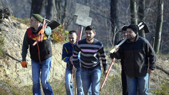 Düzce'de orman yangını