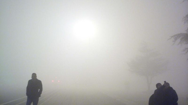 Düzce'de yoğun sis