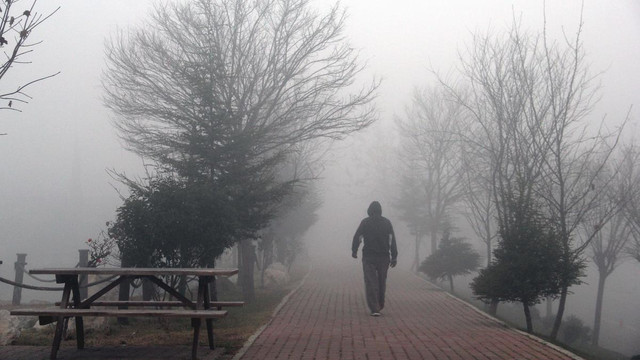 Edirne'de yoğun sis