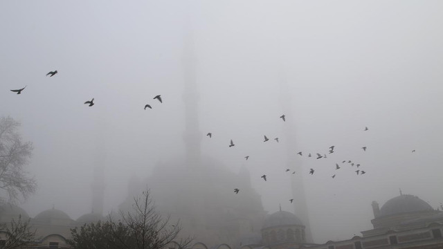Edirne'de yoğun sis