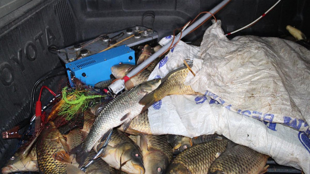 Elektroşok cihazıyla balık avlarken öldüler