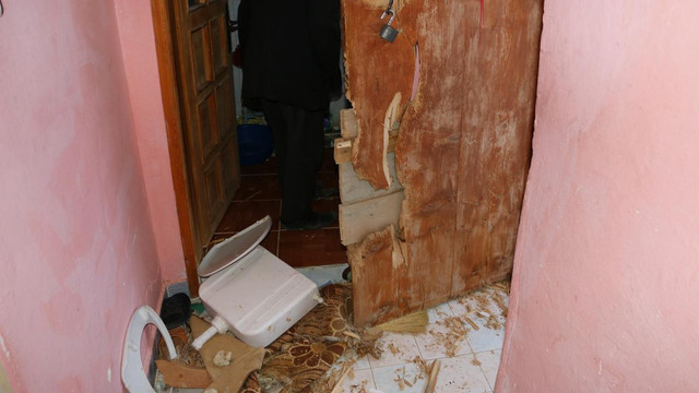 Erzurum'da aç kalan ayı eve girdi