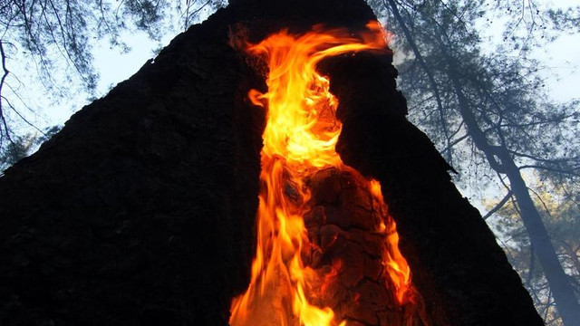 Fethiye'de orman yangını
