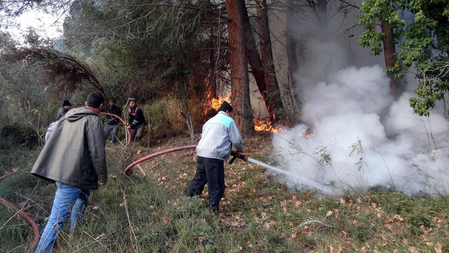 Gelibolu Yarımadası'nda orman yangını