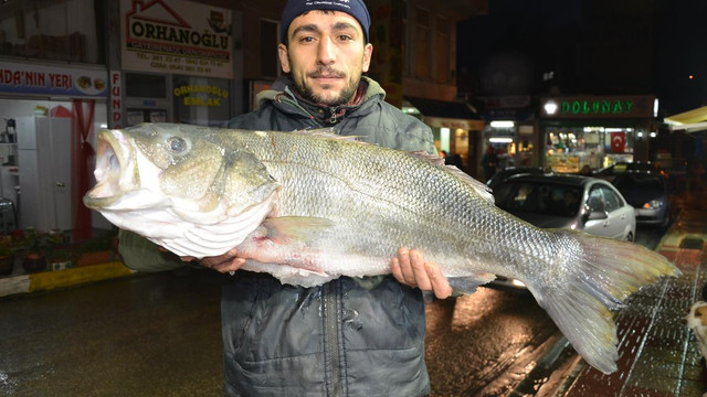 Hamsi beklerken 10 kilogramlık levrek yakalandı