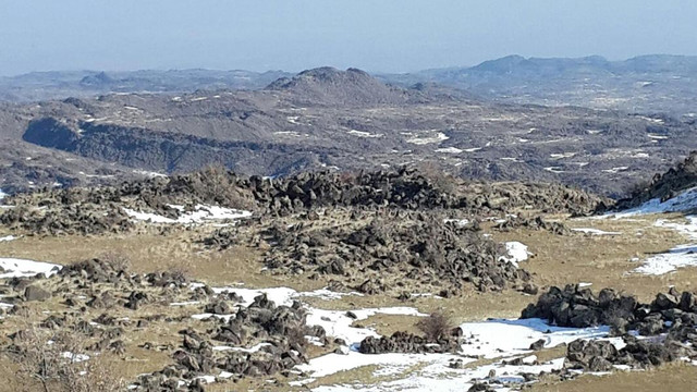 Iğdır'daki terör operasyonu