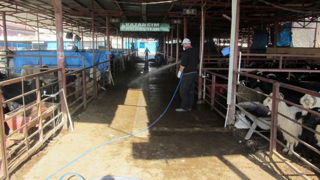 Kahramanmaraş'ta canlı hayvan pazarı kapatıldı