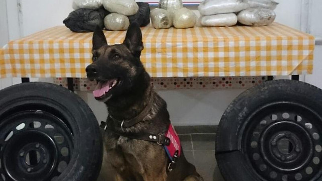 Malatya'da kaçakçılıkla mücadele