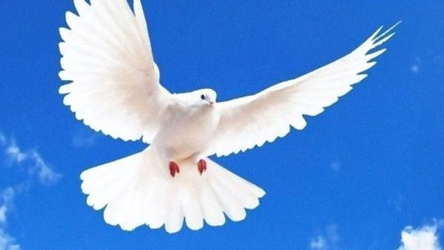 Milli Piyango Yılbaşı çekilişi sonuçları